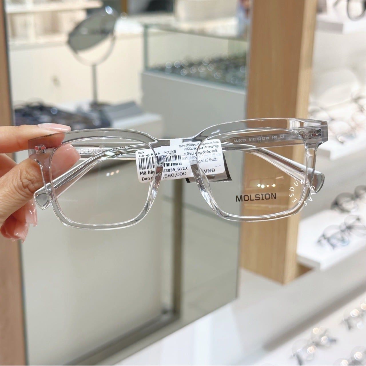  Mắt kính Molsion MJ3039 