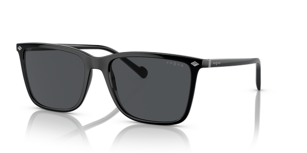  Kính mát VOGUE VO 5493 S 