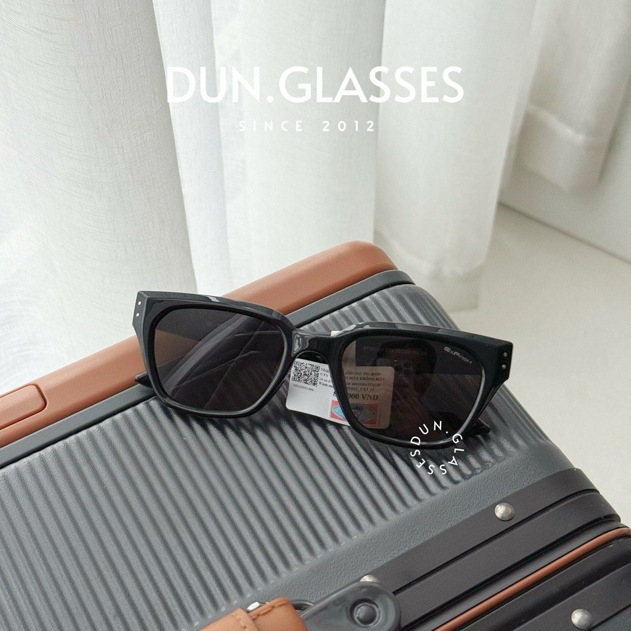  Kính mát Exfash EF 231021 