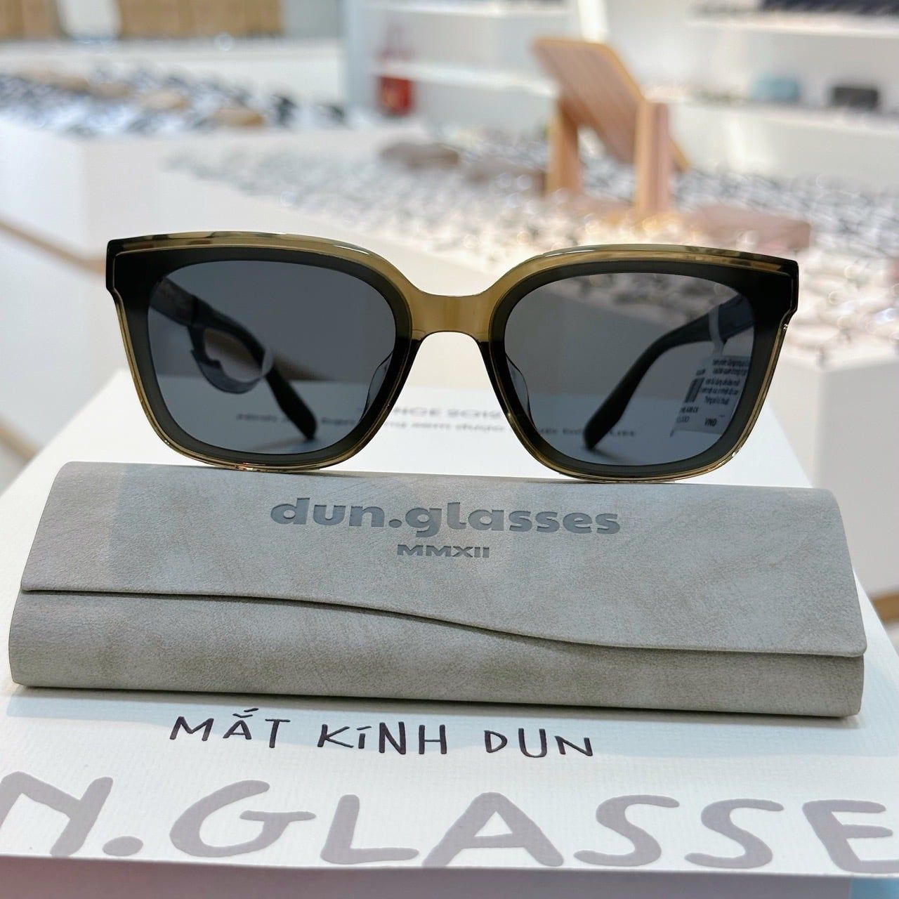  Kính mát Molsion MS3090 