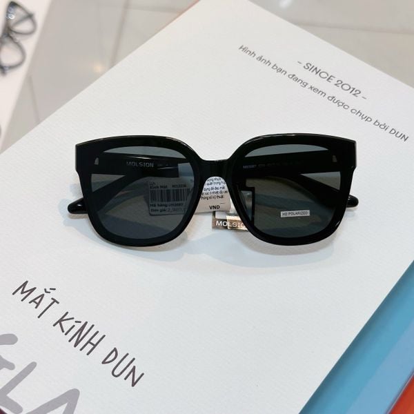  Kính mát Molsion MS 3087 