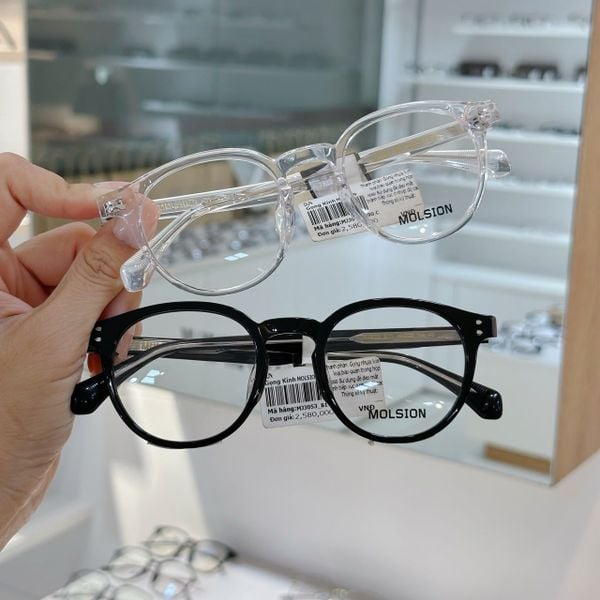  Mắt kính Molsion MJ 3053 