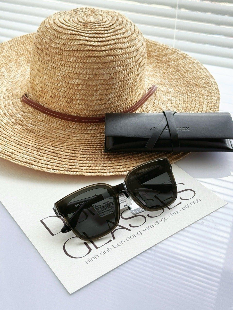  Kính mát Molsion MS3088 