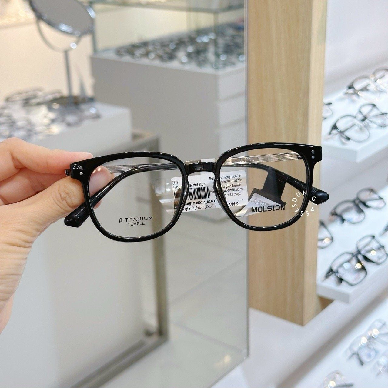  Mắt kính Molsion MJ 5072 