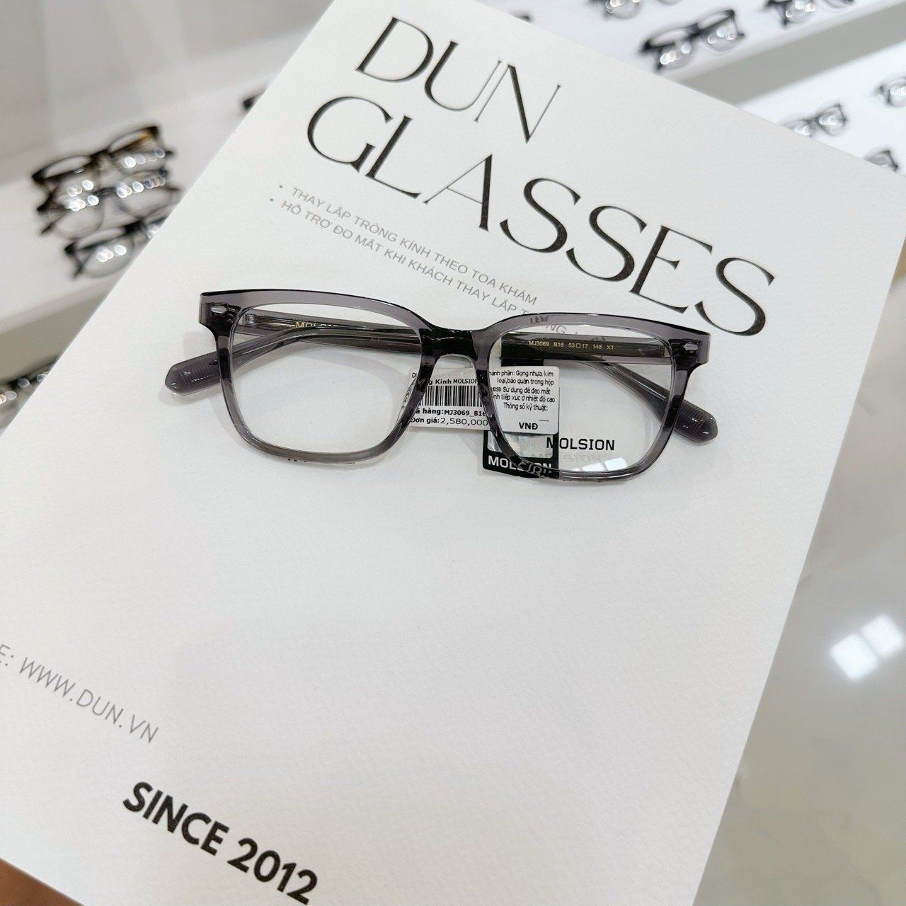  Mắt kính Molsion MJ3069 