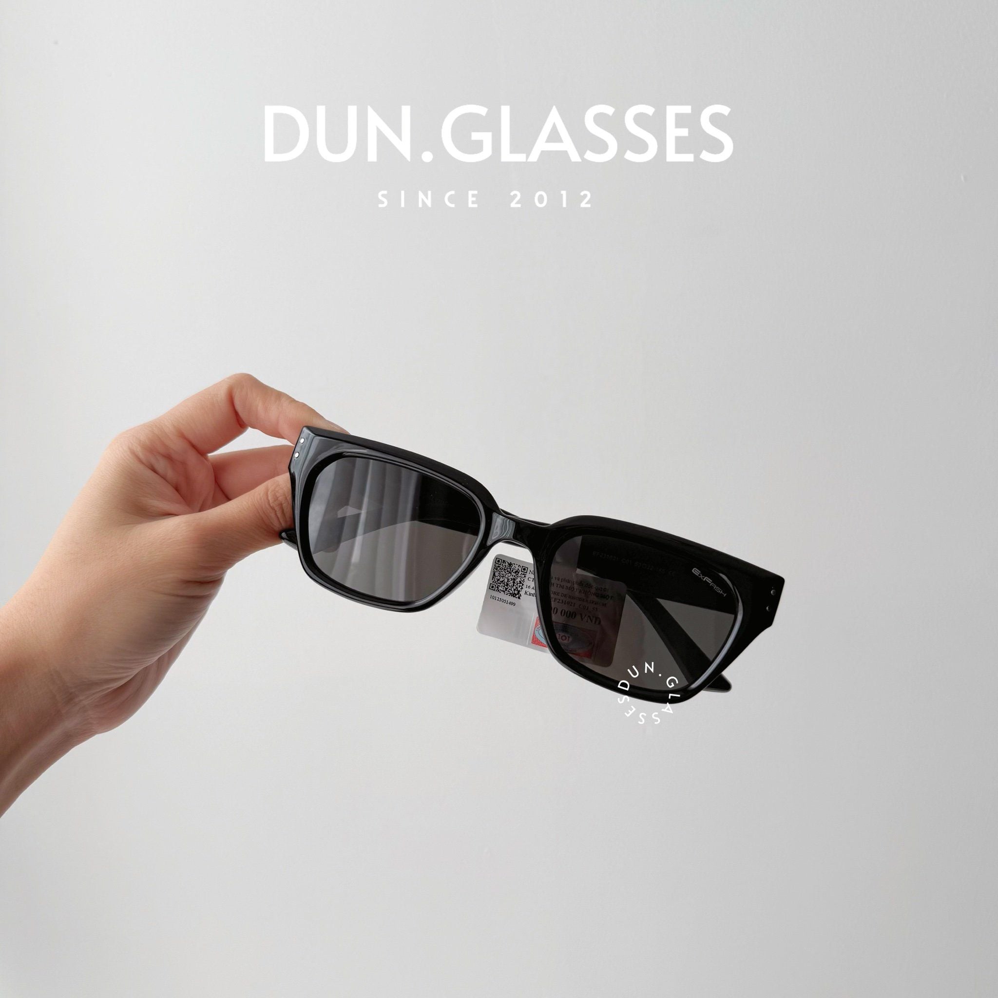  Kính mát Exfash EF 231021 