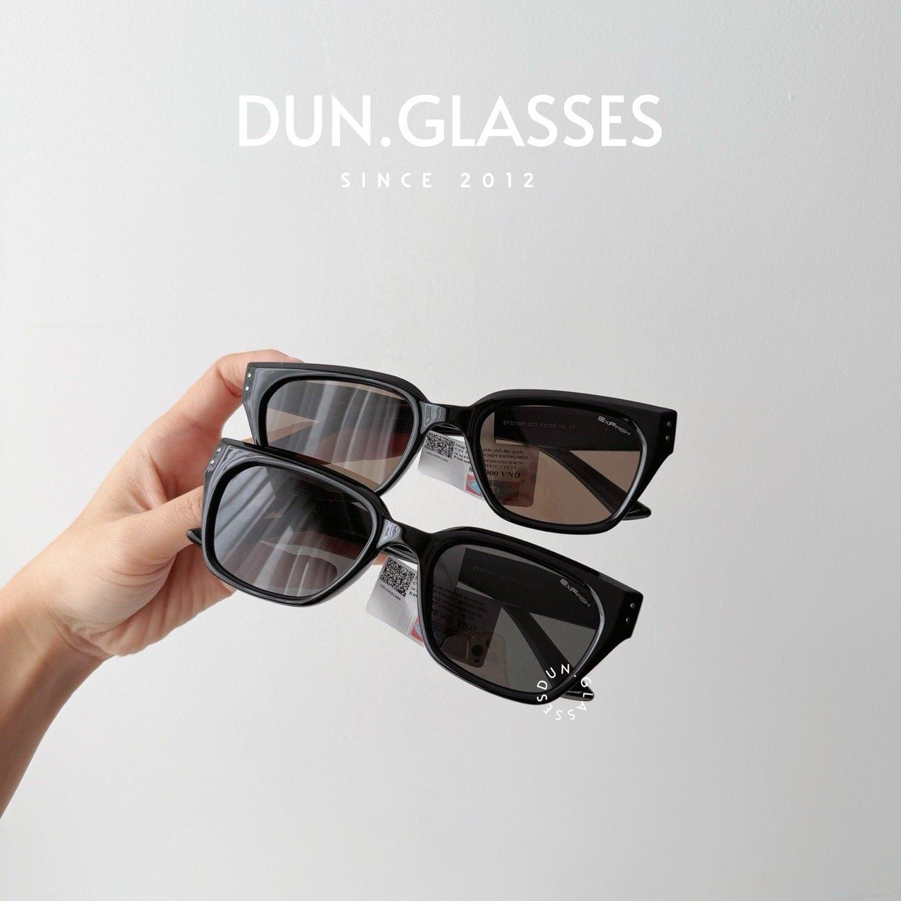  Kính mát Exfash EF 231021 