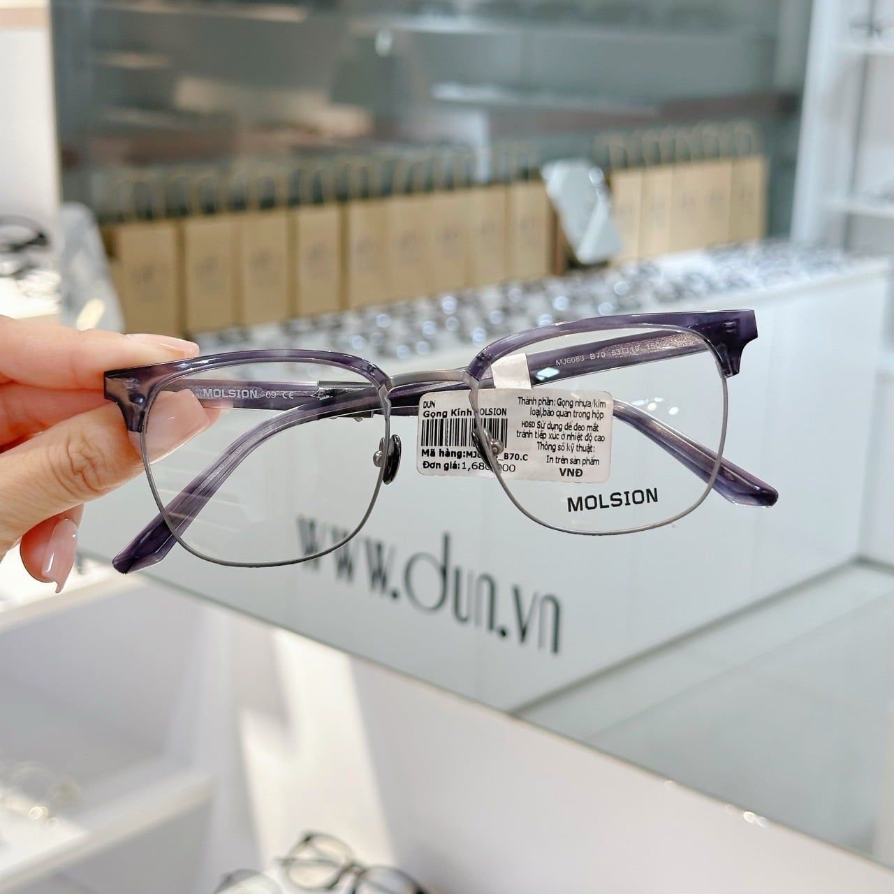  Mắt kính Molsion MJ 6083 