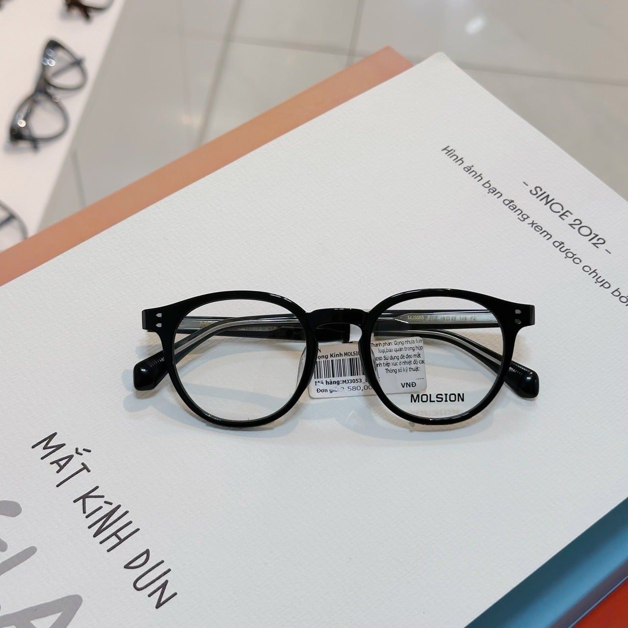  Mắt kính Molsion MJ 3053 
