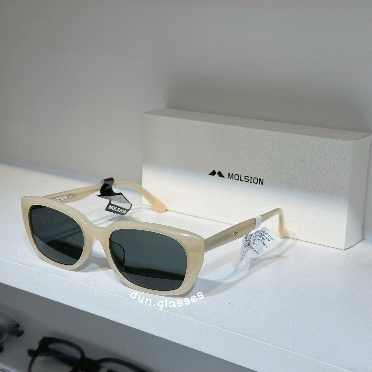  Kính mát Molsion MS 3069 