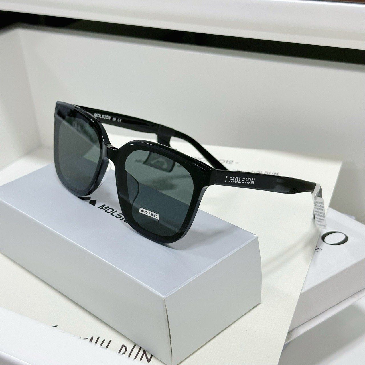  Kính mát Molsion MS 3097 