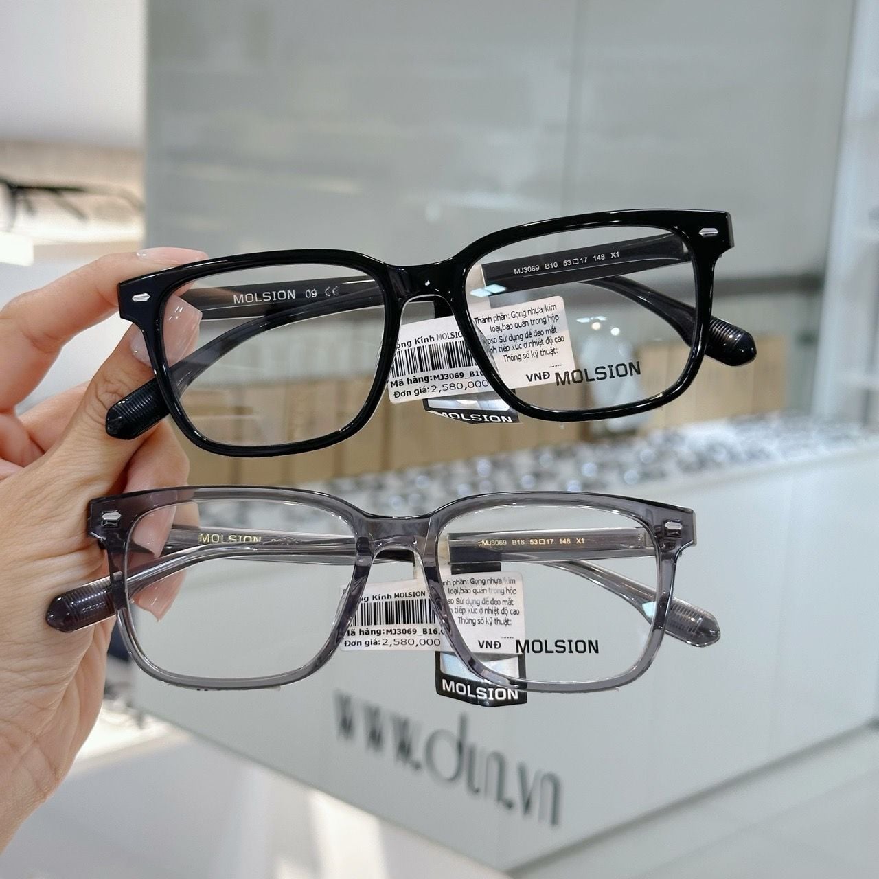  Mắt kính Molsion MJ 3069 