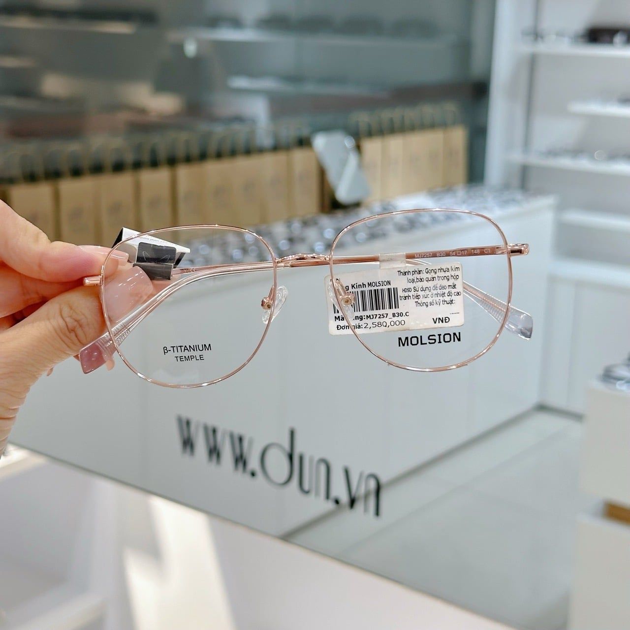  Mắt kính beta titanium Molsion MJ 7257 