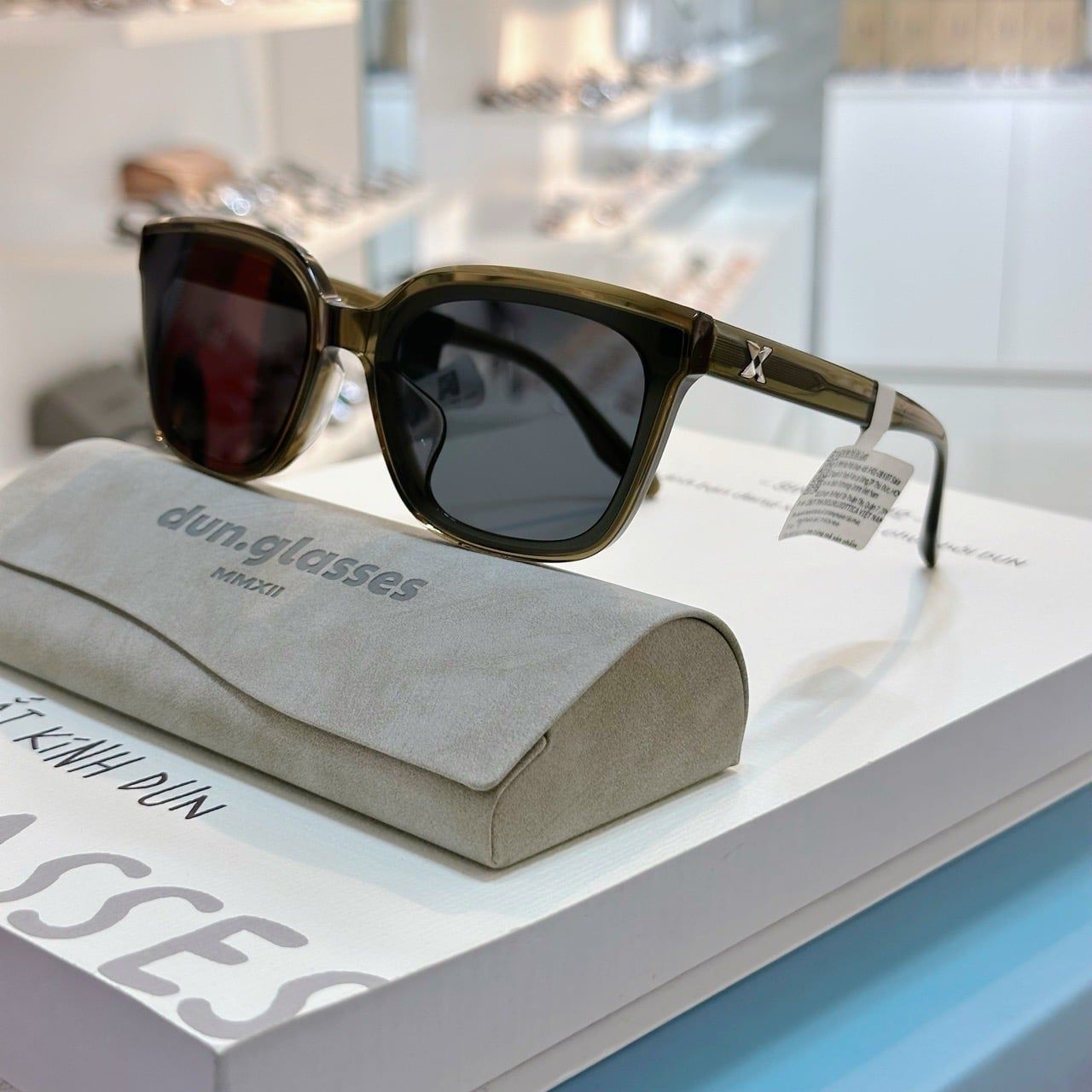  Kính mát Molsion MS3090 