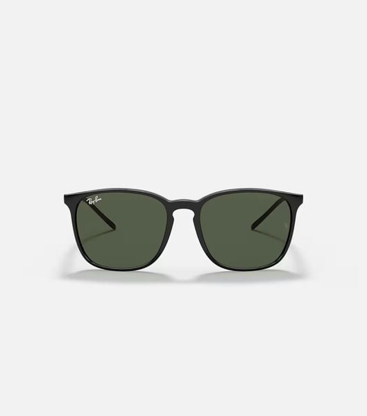  Kính mát RayBan 0RB 4387F 