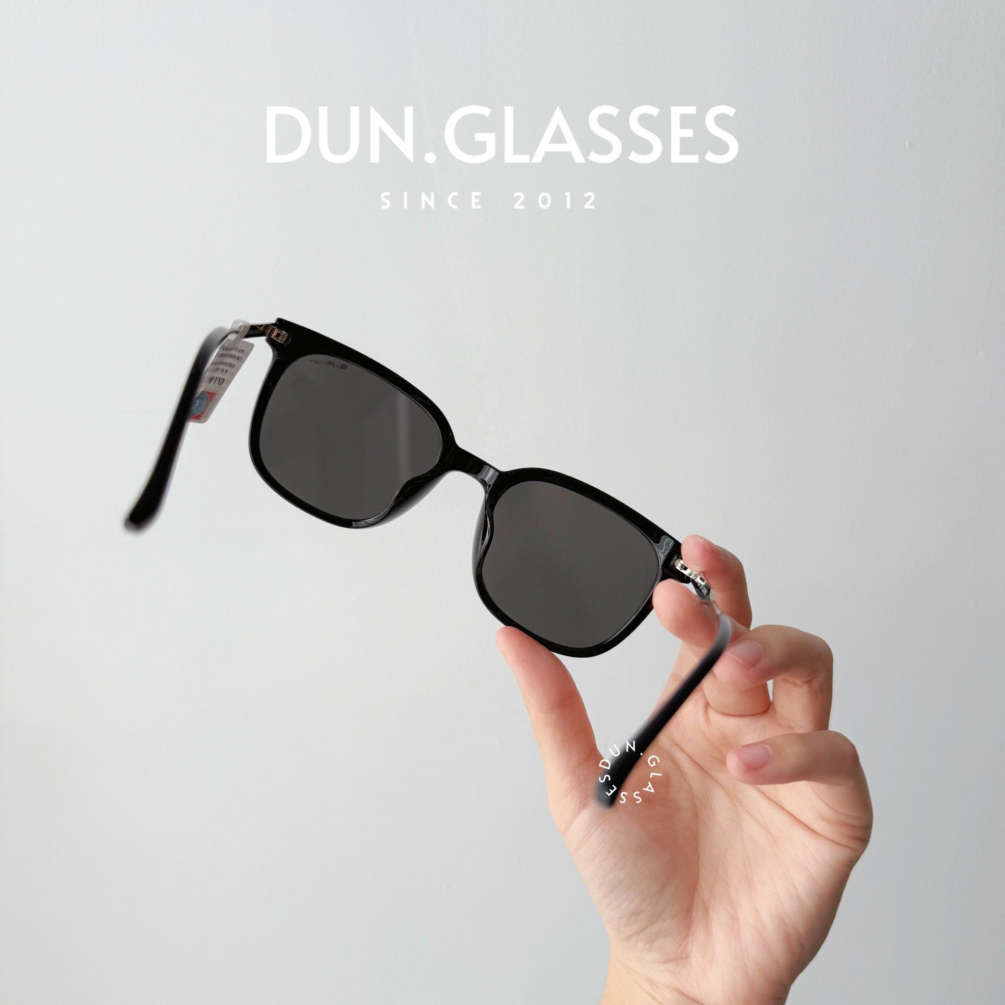  Kính mát Exfash EF 231019 