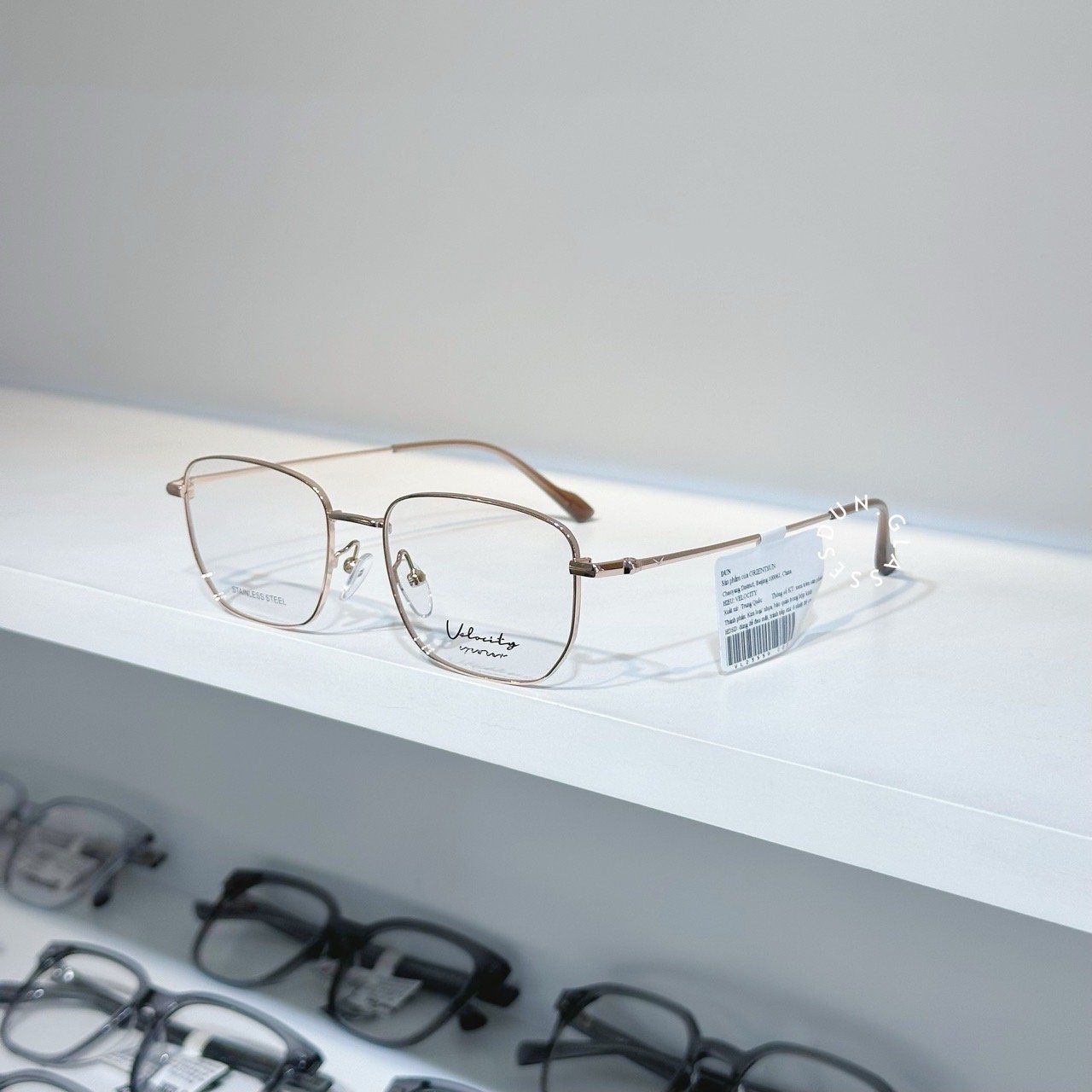  Mắt kính Velocity VL 23559 