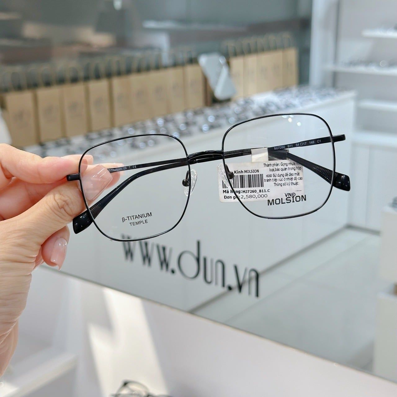  Mắt kính Molsion MJ7260 