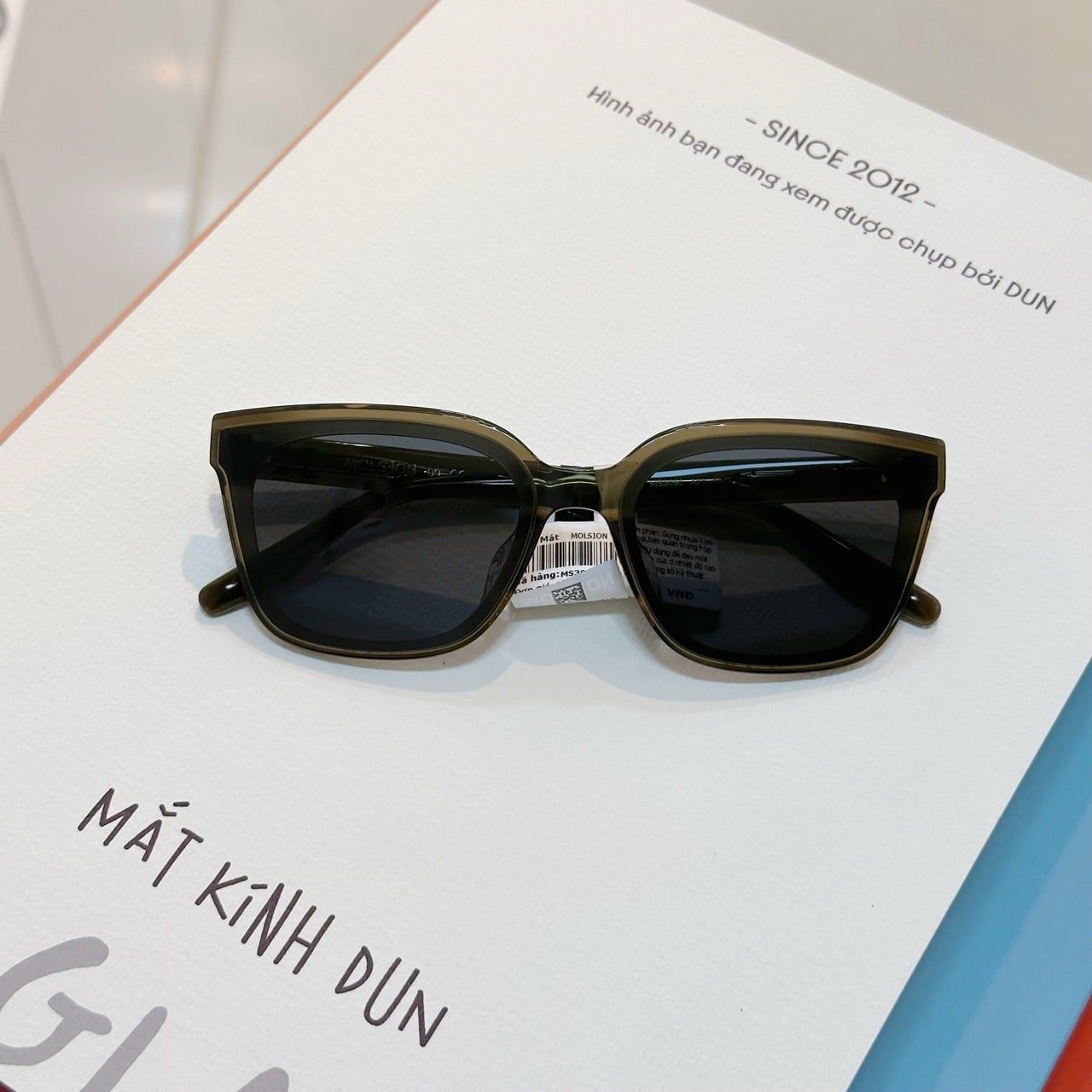  Kính mát Molsion MS3090 