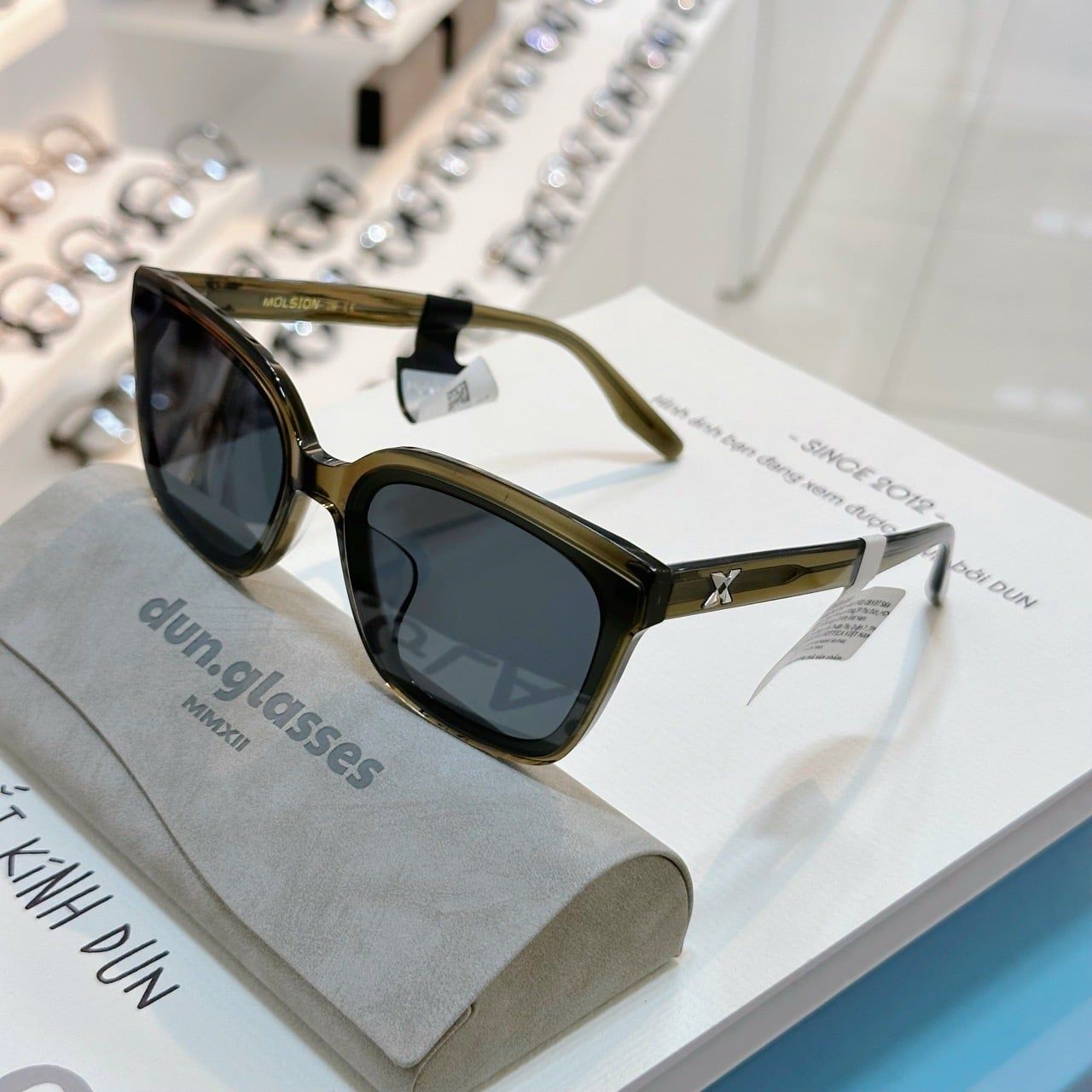  Kính mát Molsion MS3090 