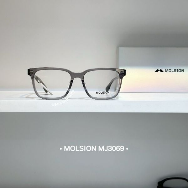  Mắt kính Molsion MJ3069 