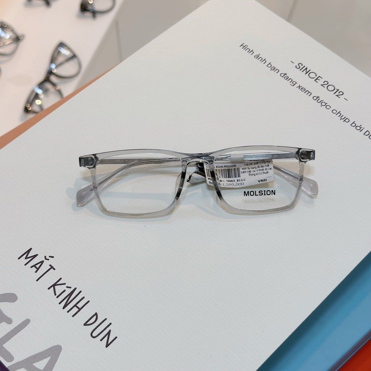  Mắt kính Molsion MJ 5063 