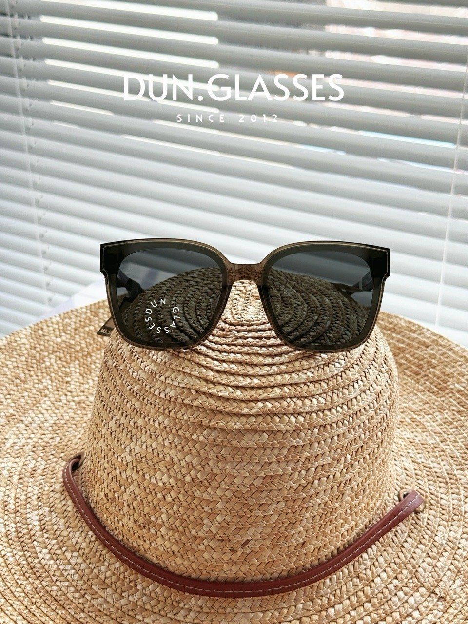  Kính mát Molsion MS3088 