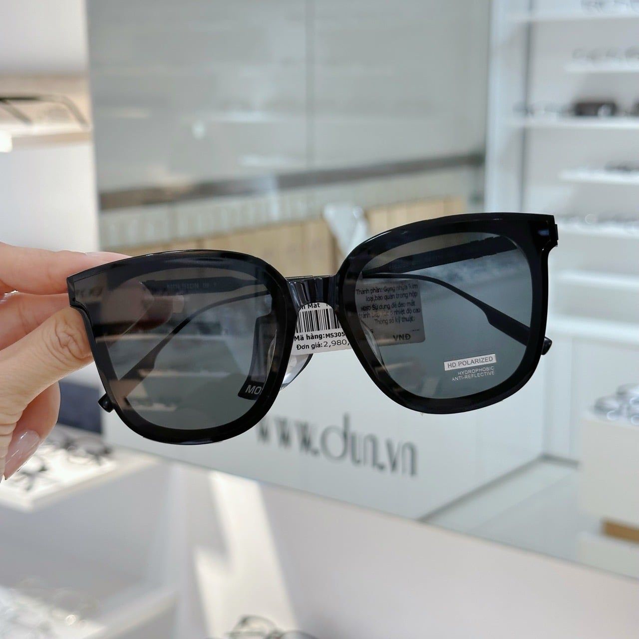  Kính mát Molsion MS3056 