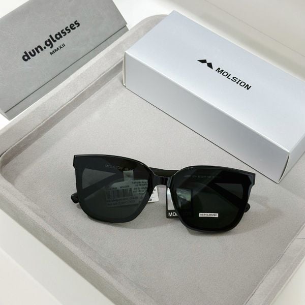  Kính mát Molsion MS 3097 