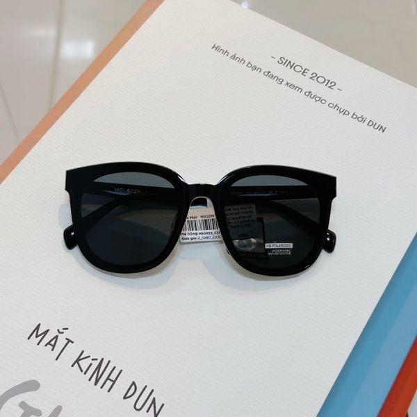 Kính mát Molsion MS 3053 