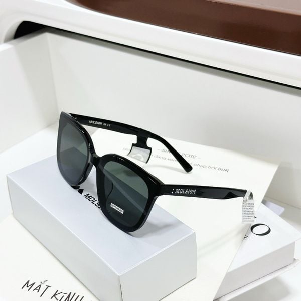 Kính mát Molsion MS 3097 