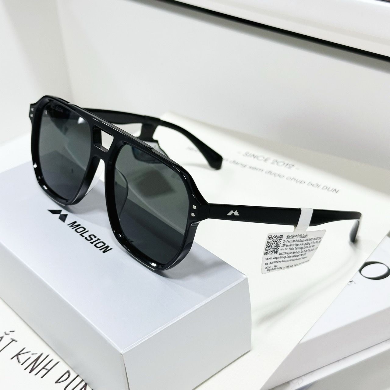  Kính mát Molsion MS 3019 