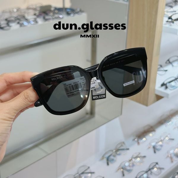  Kính mát Molsion MS 3087 