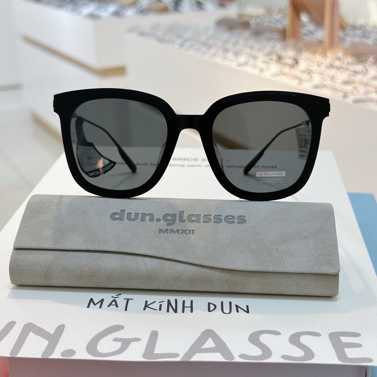  Kính mát Molsion MS3056 