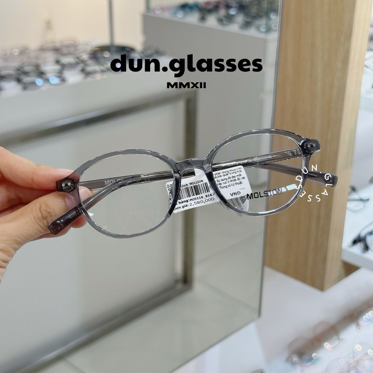  Mắt kính oval trendy Molsion MJ 5116 