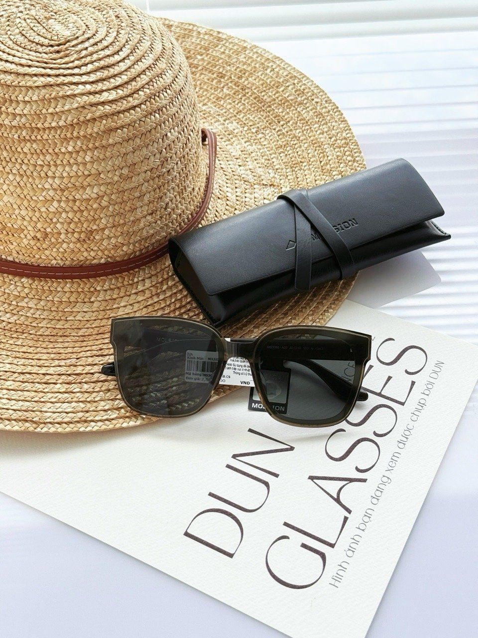  Kính mát Molsion MS3088 