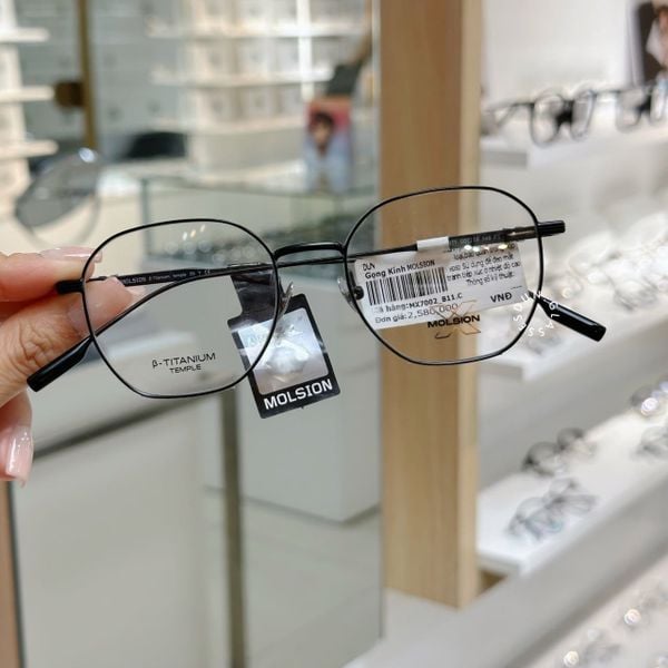  Mắt kính Molsion MX 7002 