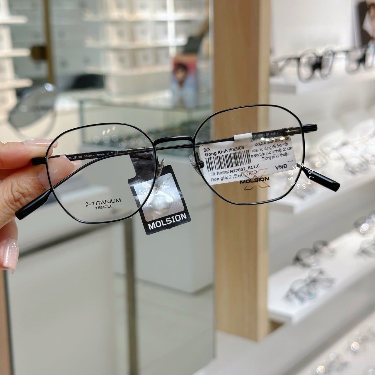  Mắt kính Molsion MX 7002 