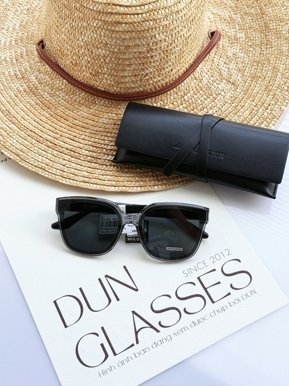  Kính mát Molsion MS3087 