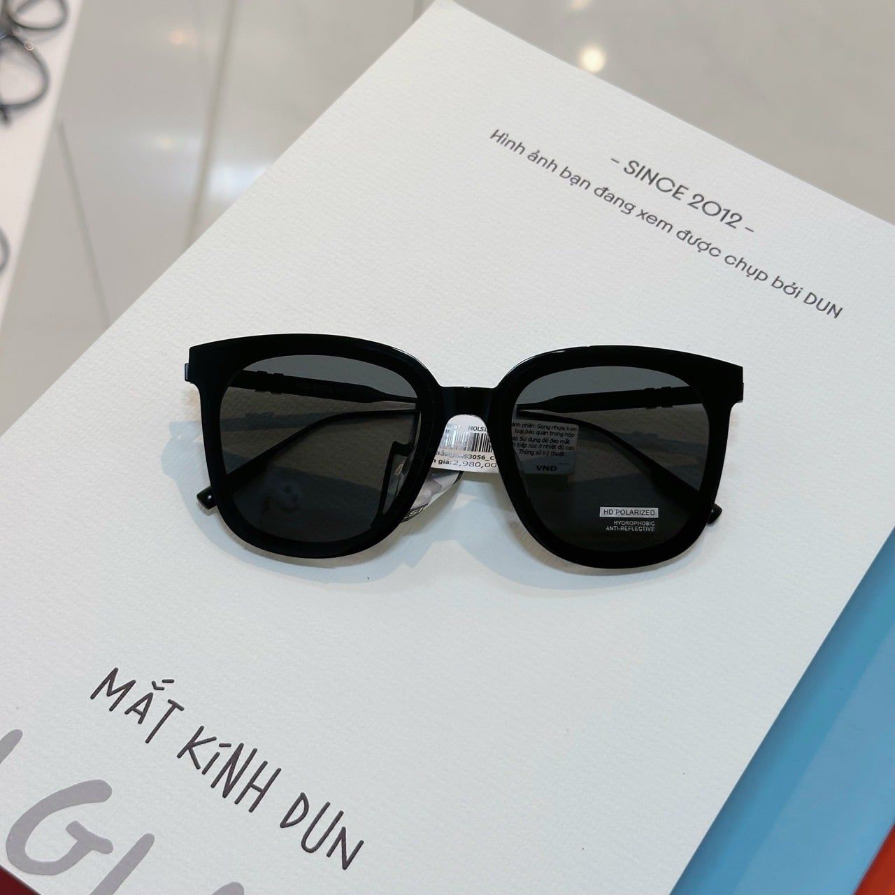  Kính mát Molsion MS3056 