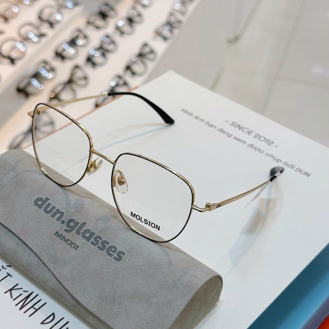 Mắt kính Molsion MJ 7111 