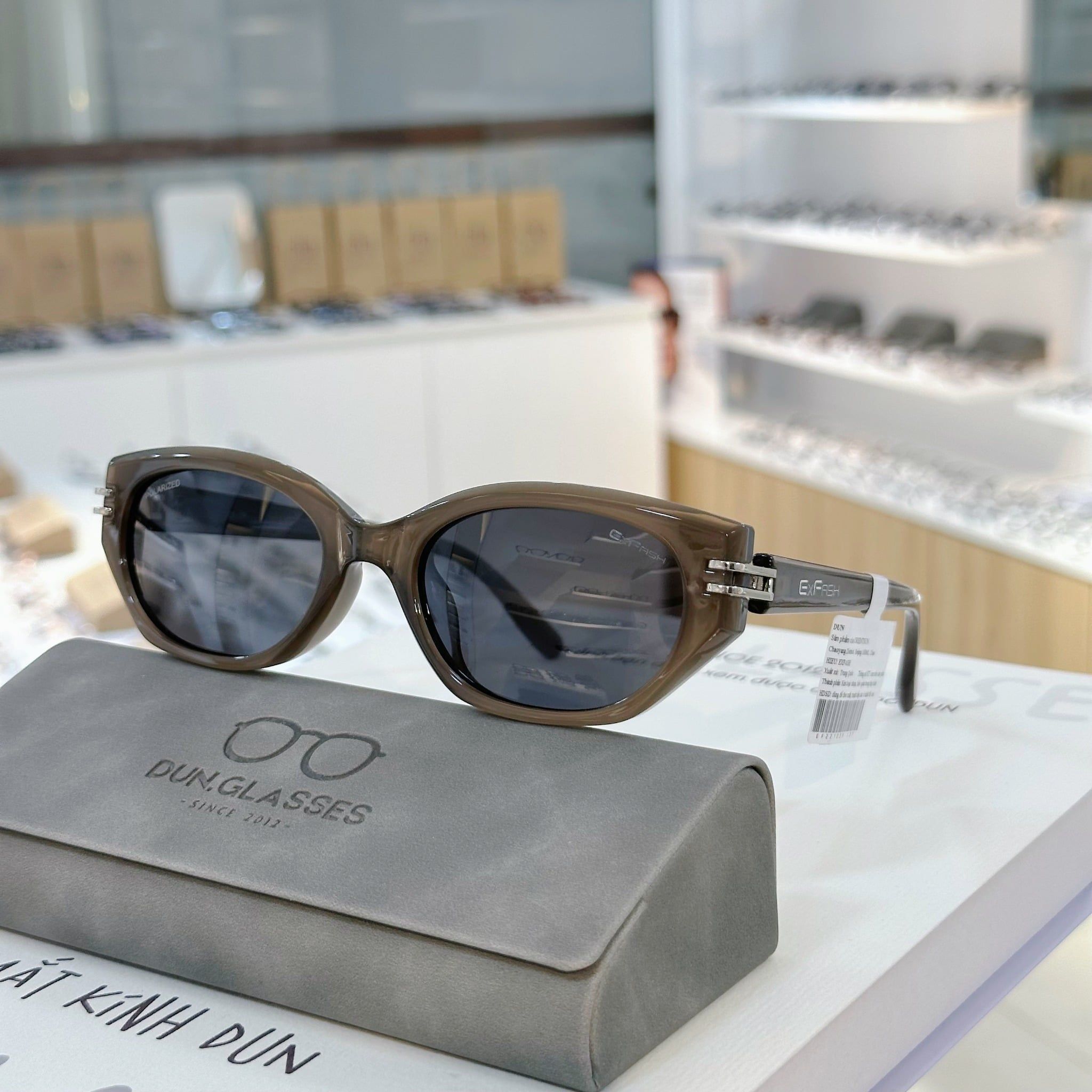 Mắt kính Exfash EF 221039 
