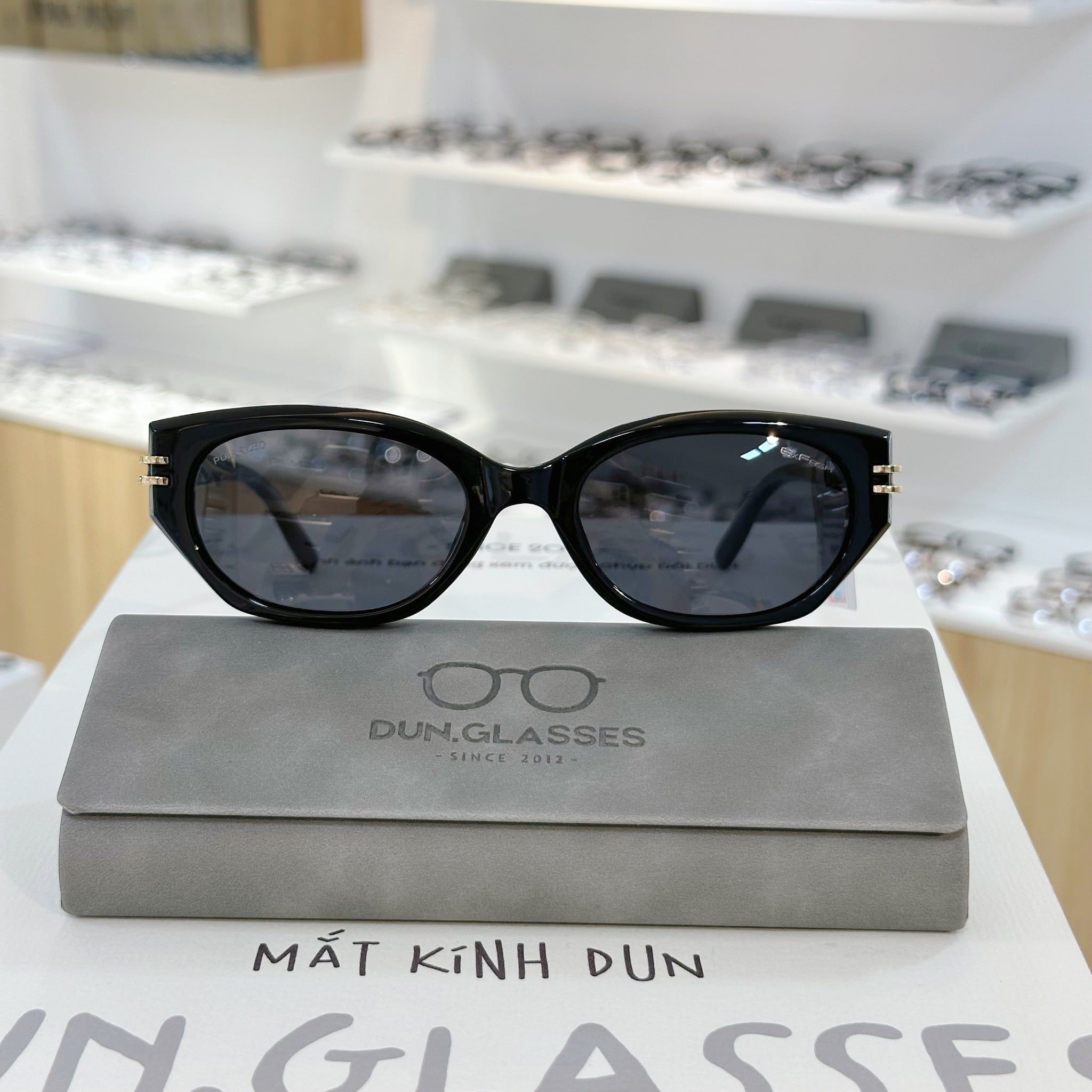  Mắt kính Exfash EF 221039 