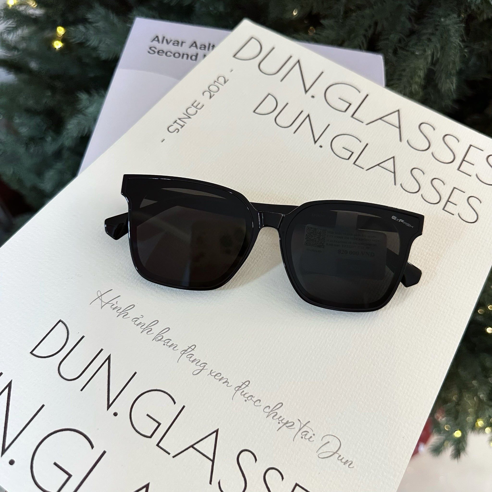  Kính mát Exfash EF 25207 