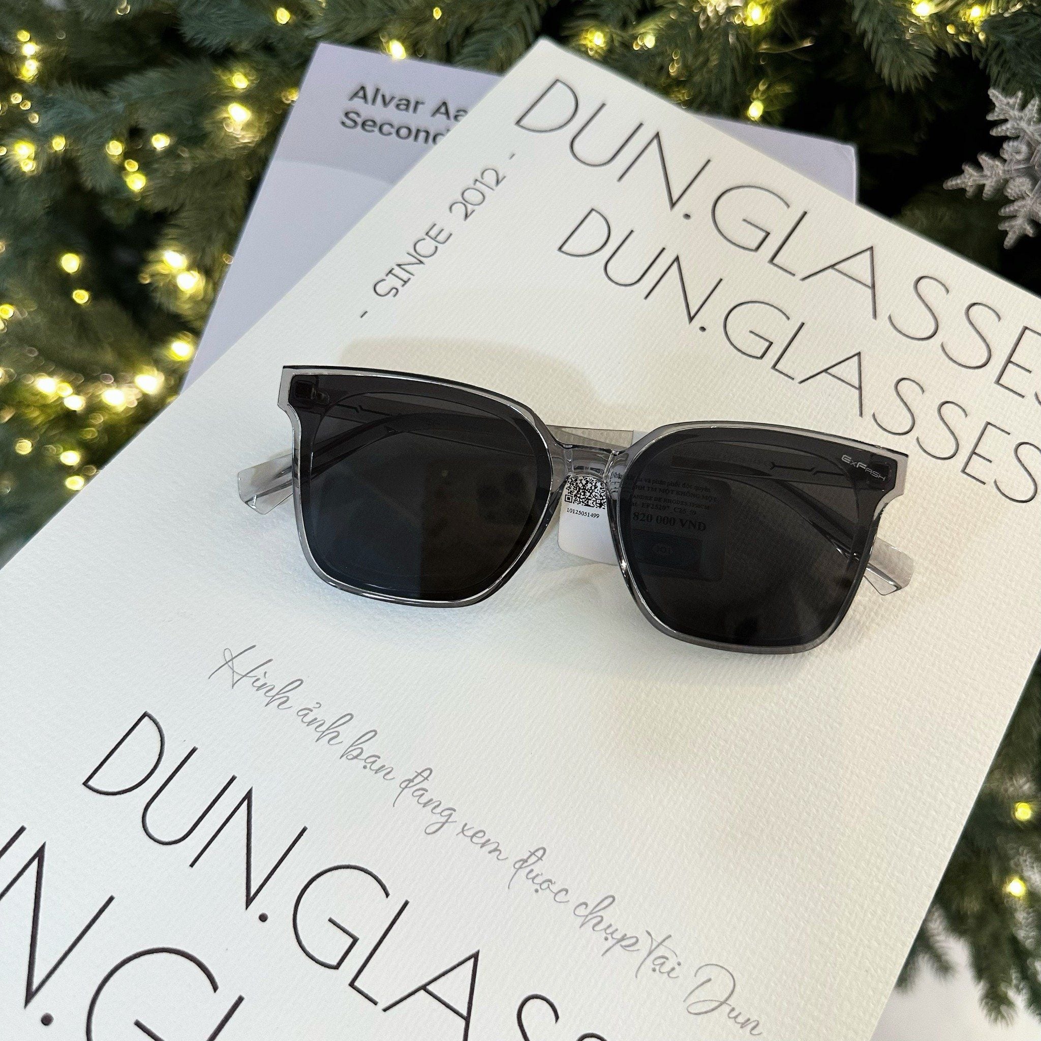  Kính mát Exfash EF 25207 