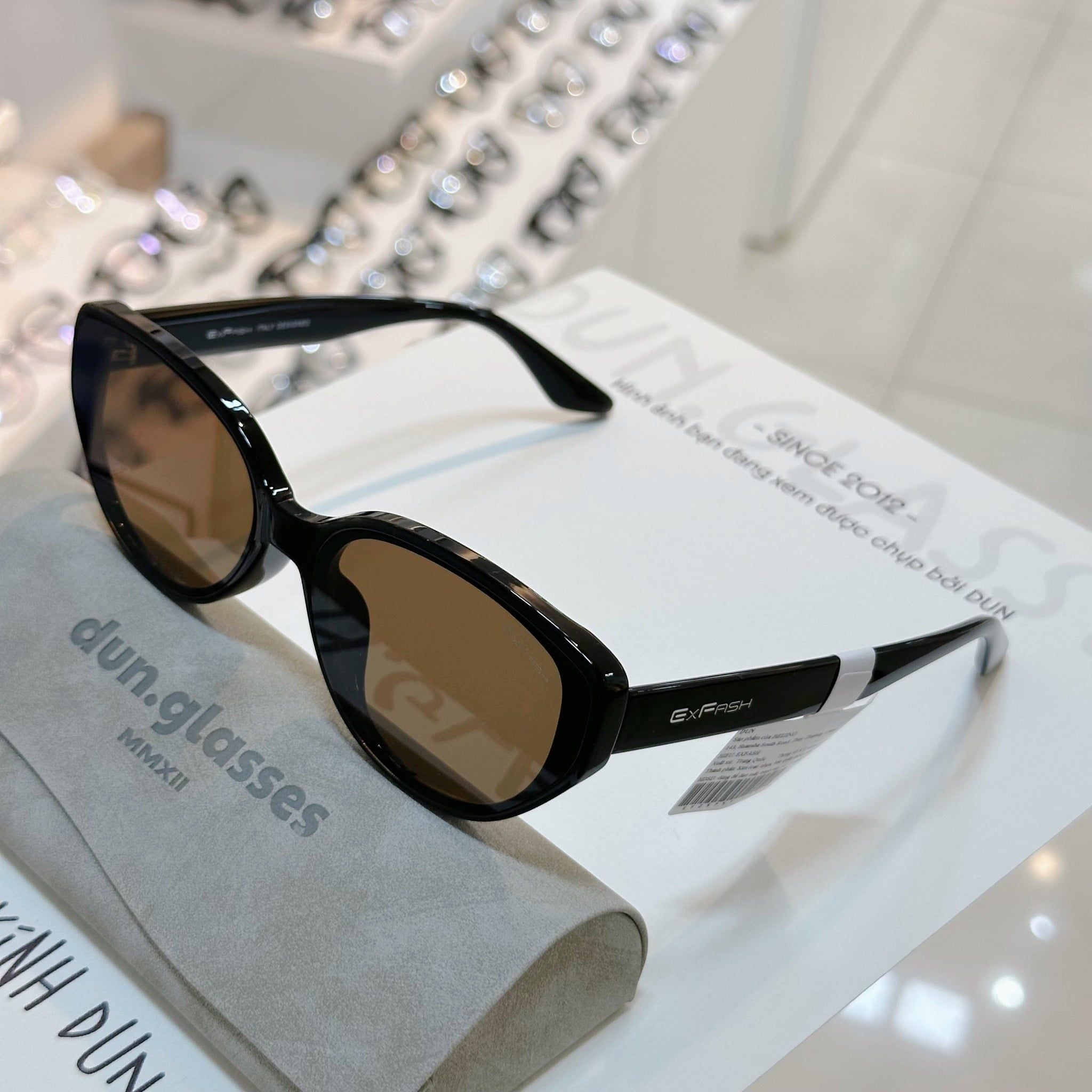  Kính mát Exfash EF25751 