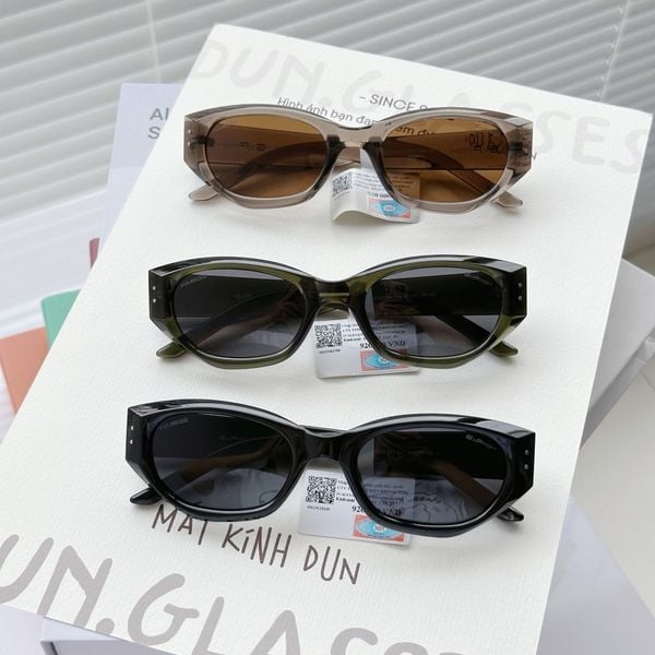  Kính mát Exfash EF 25753 