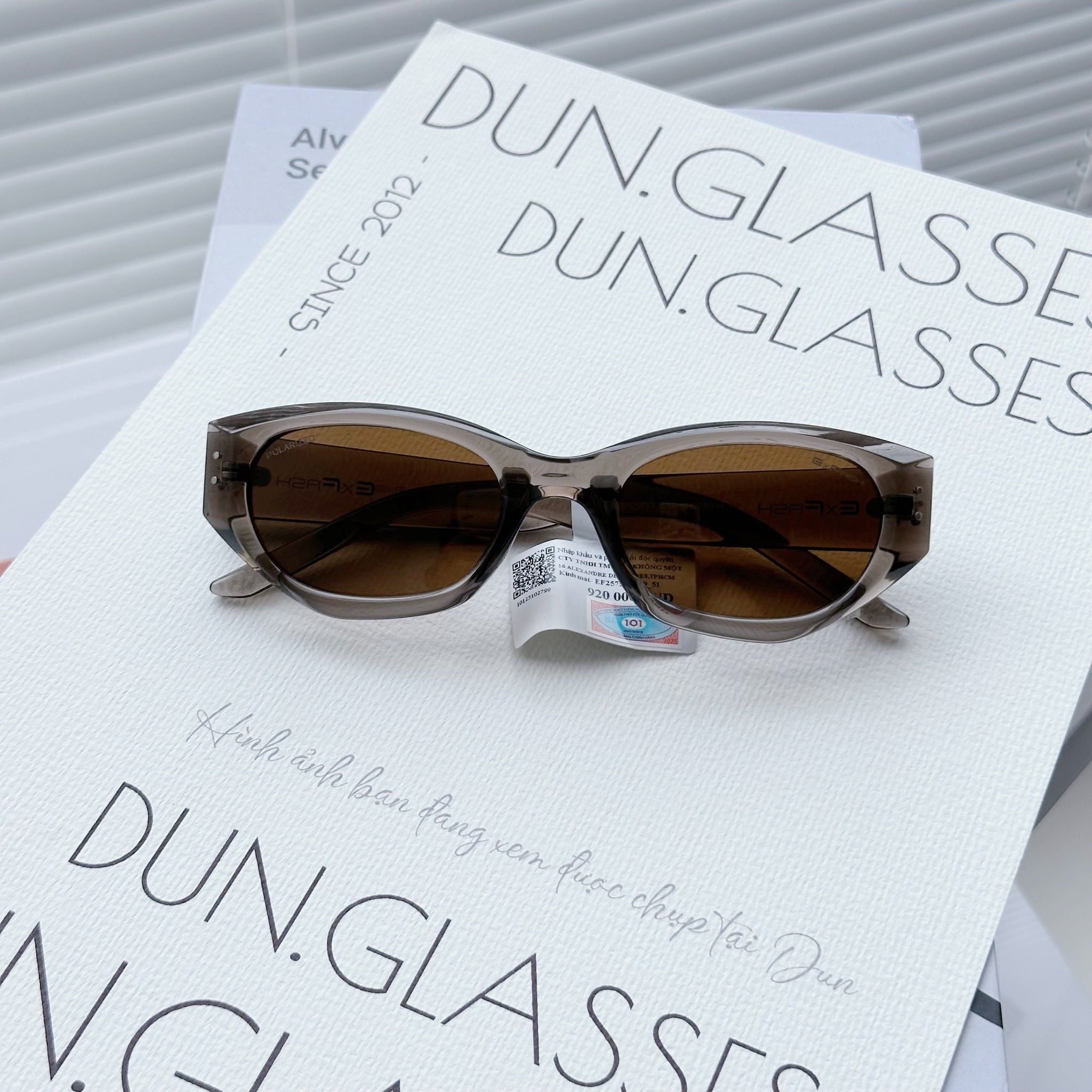  Kính mát Exfash EF 25753 