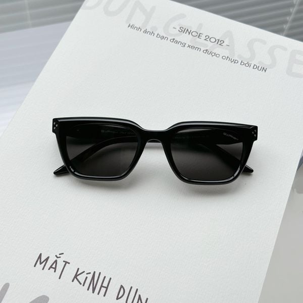  Kính mát Exfash EF 25754 