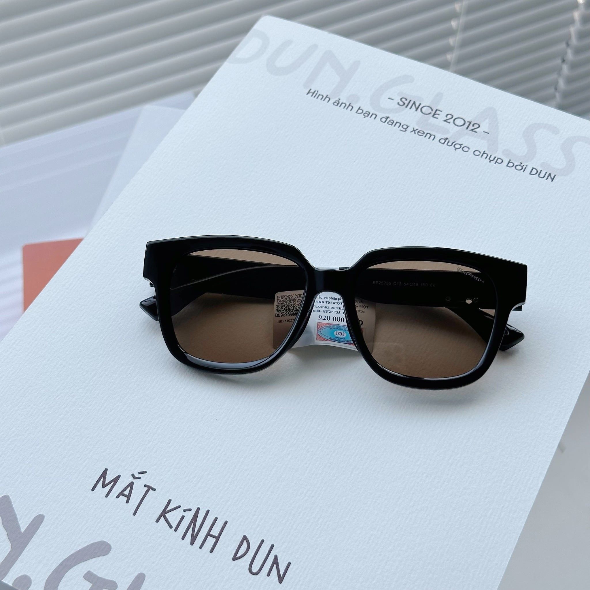  Kính mát Exfash EF 25755 